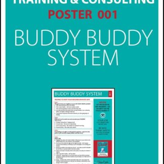 Poster 1 - Buddy Buddy System
