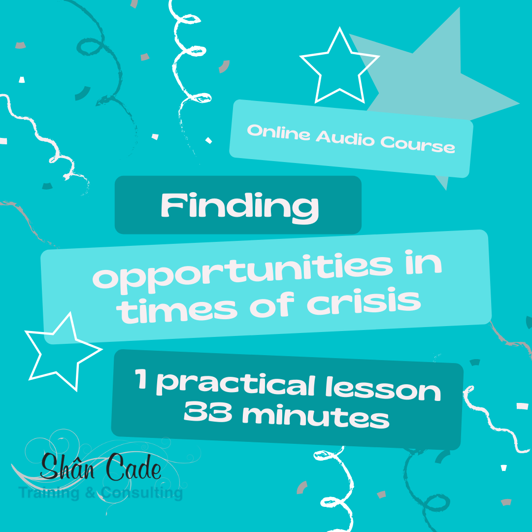 Finding opportunity in times of crisis