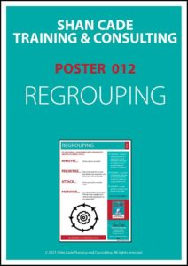Poster 12  - Regrouping